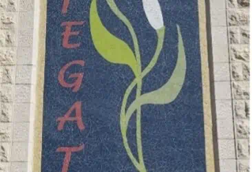 Lifegate im Juni&nbsp;2022