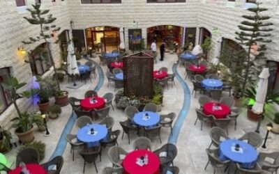 Lifegate im Mai&nbsp;2022